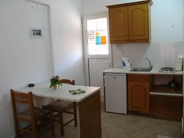 Alexis Pool 斯达林